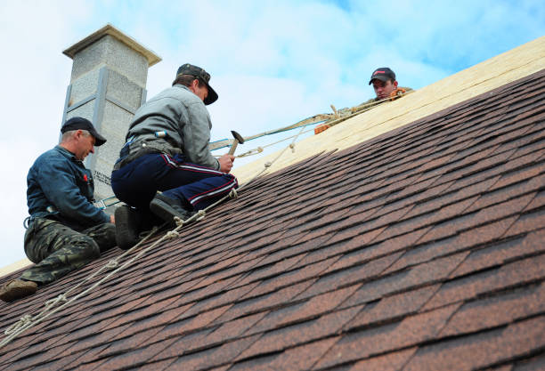 Best Roof Waterproofing Services  in Brewster, WA